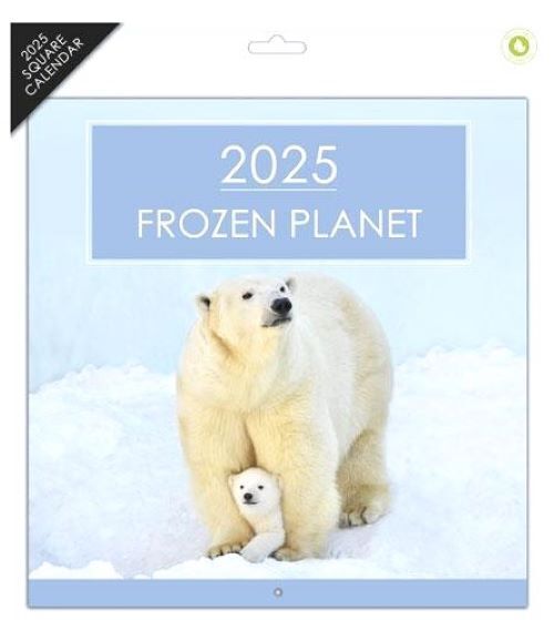 2025 Square Wall Calendars Sports Cars Bikes Castles Cats Dogs Wild Animals Gift