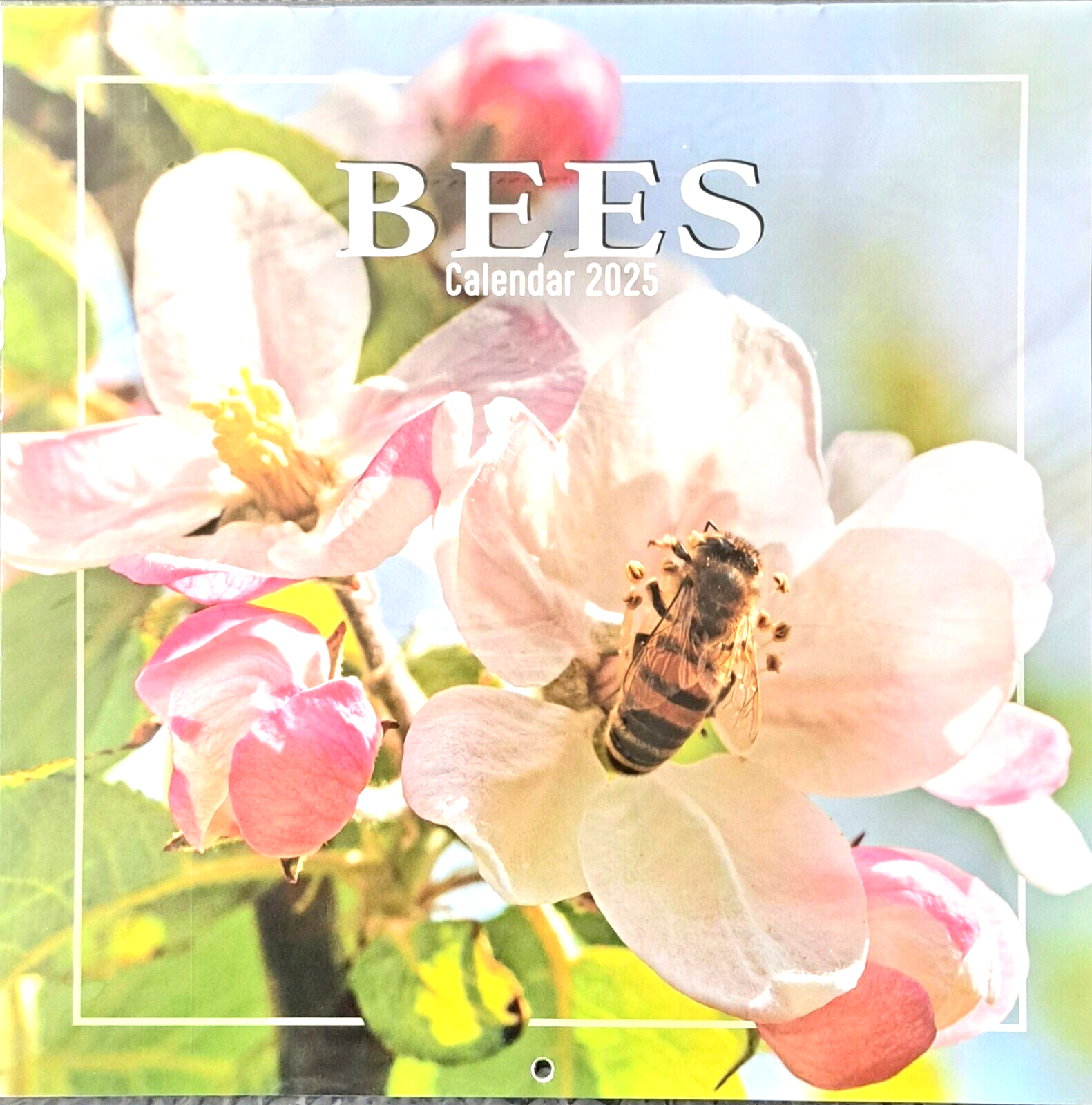 2025 Bees Square Wall Calendar 16 Months Gift Envelope Nature Planner Organiser