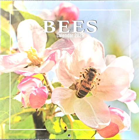 2025 Bees Square Wall Calendar 16 Months Gift Envelope Nature Planner Organiser