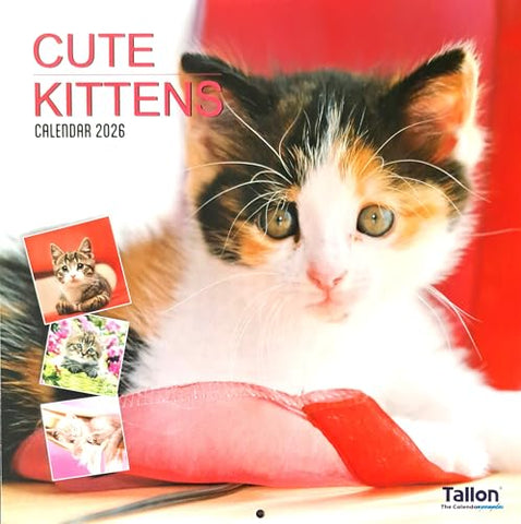 2026 Kittens Square Wall Calendar 16 Months Cats Cute Ginger Black White Tabby Pets Home Kitchen Christmas Birthday New Year