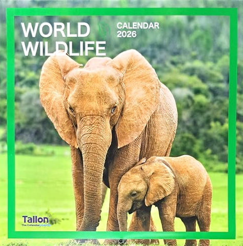 2026 World Wildlife Square Wall Calendar Cute Animals Wild Bear Wolf Gorilla Cheetah Birds Planner Organiser Home Kitchen Office Christmas Birthday New Year