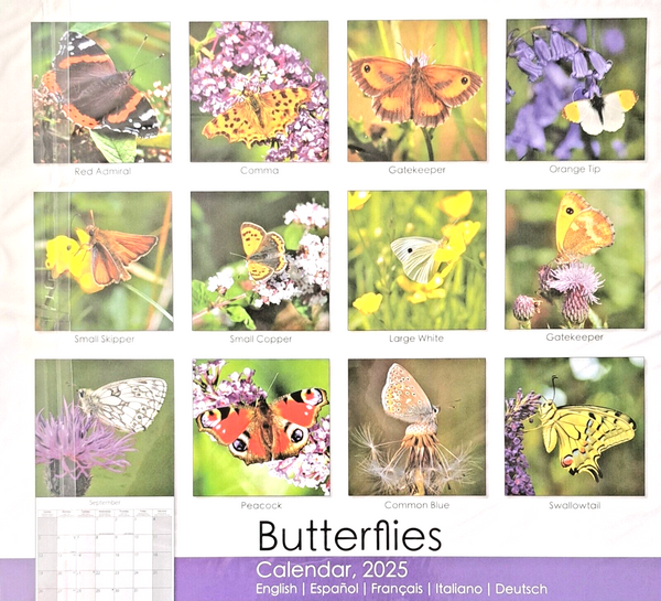 2025 Butterflies Square Wall Calendar Butterfly 16 Months Gift Envelope Nature