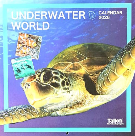 2026 Underwater World Square Wall Calendar Cute Animals Wild Sea Ocean Life Shark Fish Dolphin Fish Planner Organiser Home Kitchen Office Christmas Birthday New Year