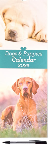 2026 Tall Slim Wall Calendars Pen Gift Envelope Planner Organiser Home Office