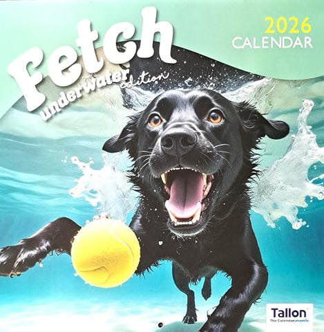 2026 Fetch Dogs Playing Ball Underwater Square Wall Calendar 16 Months Cute Animals Pets Home Kitchen Christmas Birthday New Year Puppy Puppies