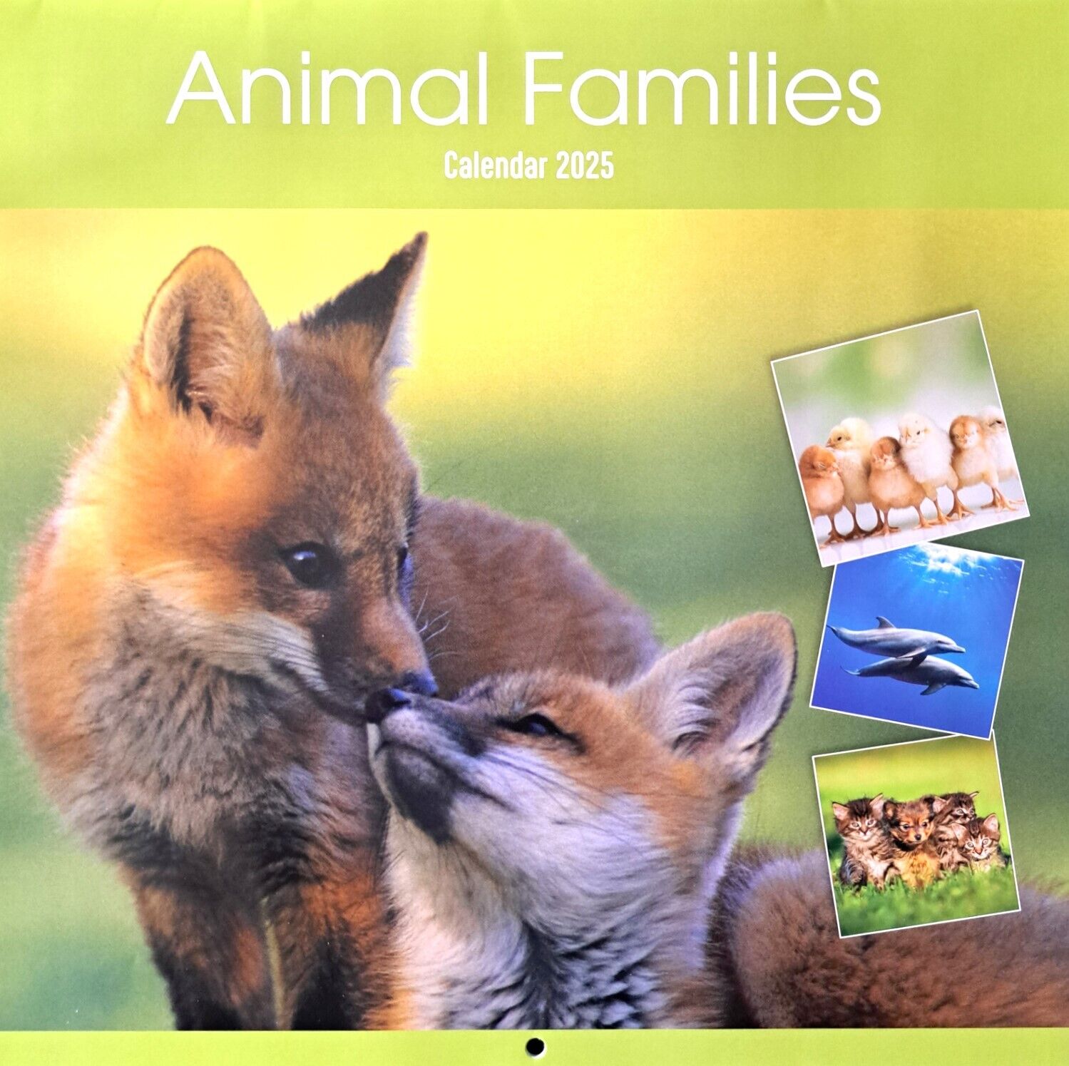2025 Animal Families Cute & Fluffy Animals Square Wall Calendars Cats Dogs Wild