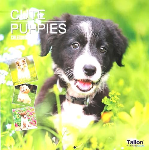 2026 Puppies Square Wall Calendar 16 Months Dogs Cute Puppy Baby Animals Pets Home Kitchen Christmas Birthday New Year