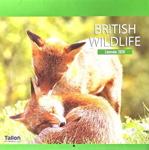 2026 British Wildlife Square Wall Calendar Cute Wild Animals Garden Owl Fox Deer Planner Organiser Home Kitchen Office Christmas Birthday New Year