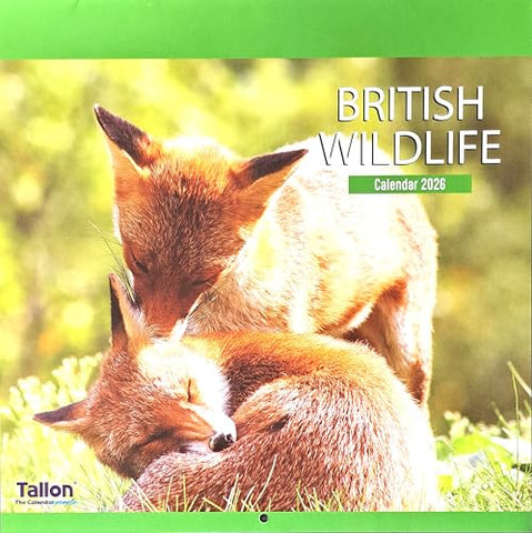 2026 British Wildlife Square Wall Calendar Cute Wild Animals Garden Owl Fox Deer Planner Organiser Home Kitchen Office Christmas Birthday New Year