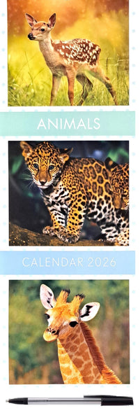 2026 Tall Slim Wall Calendars Pen Gift Envelope Planner Organiser Home Office