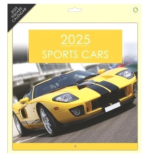 2025 Square Wall Calendars Sports Cars Bikes Castles Cats Dogs Wild Animals Gift