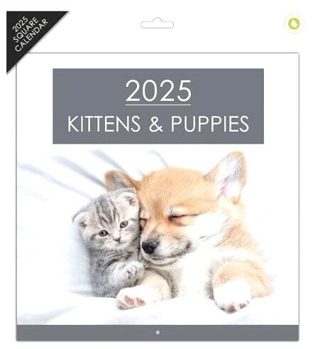2025 Square Wall Calendars Sports Cars Bikes Castles Cats Dogs Wild Animals Gift