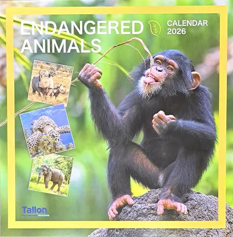 2026 Endangered Animals Square Wall Calendar Cute Animals Wild Elephant Panda Whale Tiger Tuna Planner Organiser Home Kitchen Office Christmas Birthday New Year
