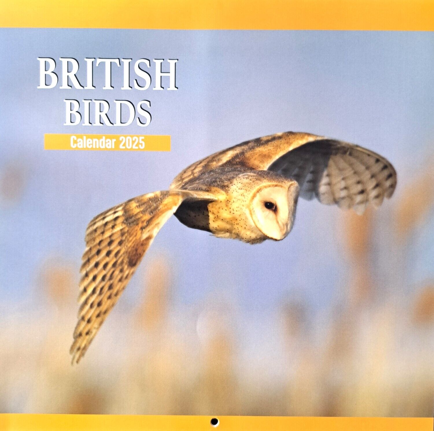 2025 British Birds Animals Square Wall Calendars Wildlife Wild Planner Organiser