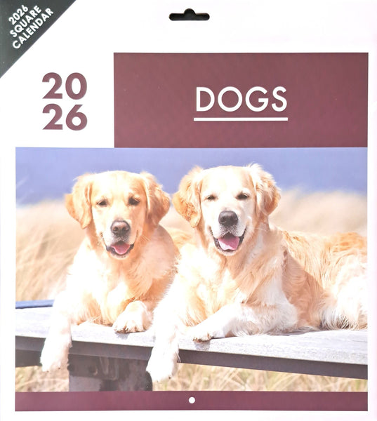 2026 Dogs Calendar