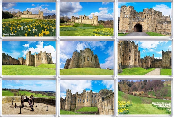 ALNWICK CASTLE KEYRINGS

* Size: Large 7cm x 4.5cm
* Made by UK Souvenirs &amp; Gifts
* Produced using our photographs
* All photos use are the copyright of UK Souvenirs and Gifts and can not be used or reproduced without our express permission
* Acrylic
* Laser Printed on 130gsm Glossy Photo Paper
* Various Designs to choose from



A charming memento of the iconic Northumberland Castle where Harry Potter was filmed..

Choose from many options.

Made by ourselves in the United Kingdom.

Make an ideal gift 