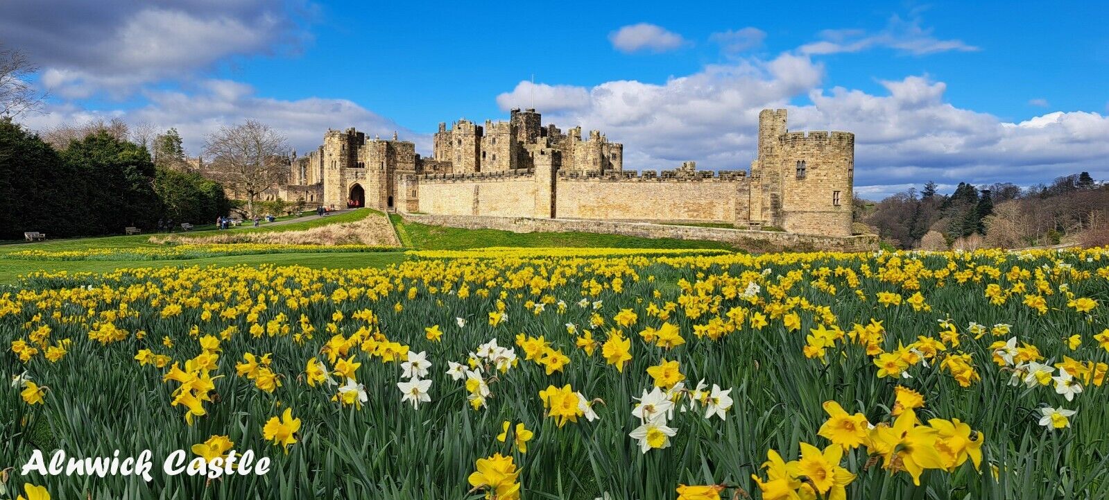 Alnwick Castle Northumberland Fridge Magnet Large Jumbo