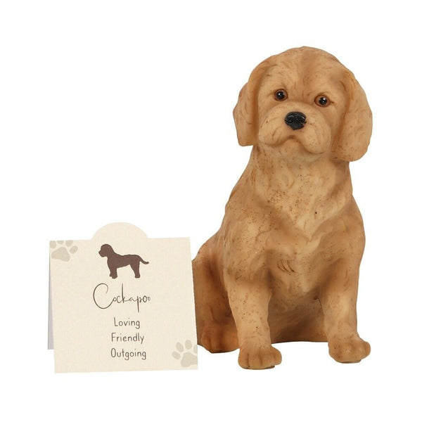 Cockapoo Dog Figurine Statue Ornament in a Gift Presentation Box