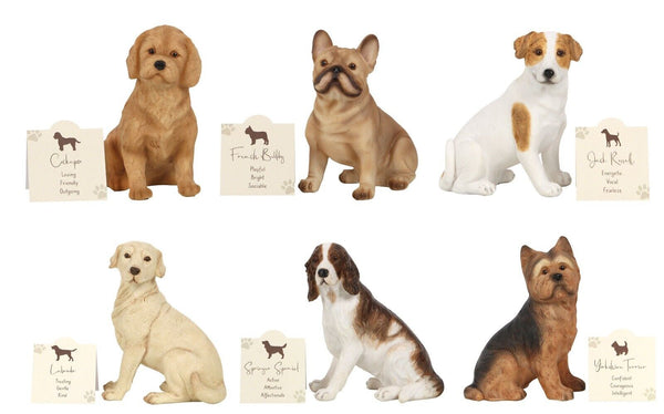 Dog Ornaments


* Choose from 6 Options:
Labrador
Jack Russell
Springer Spaniel
French Bulldog
Yorkshire Terrier
Cockapoo
* Made from Resin
* Sizes: Approx 11cm x 11cm x 7cm
* Made by Jones Home &amp; Gift


These cute and beautiful Dog ornaments bring a touch of class to your living room.

Ideal gift for dog lovers, friends and family.