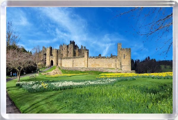 Jumbo Alnwick Castle Fridge Magnet in Spring with Daffodils and blue sky