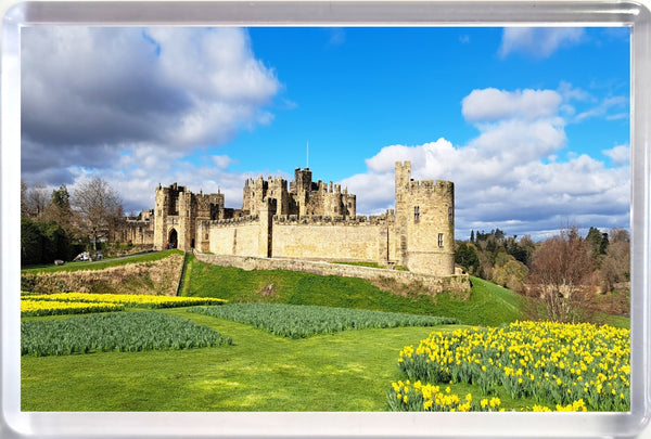 Jumbo Alnwick Castle Fridge Magnet in Spring with Daffodils with Blue Sky and clouds