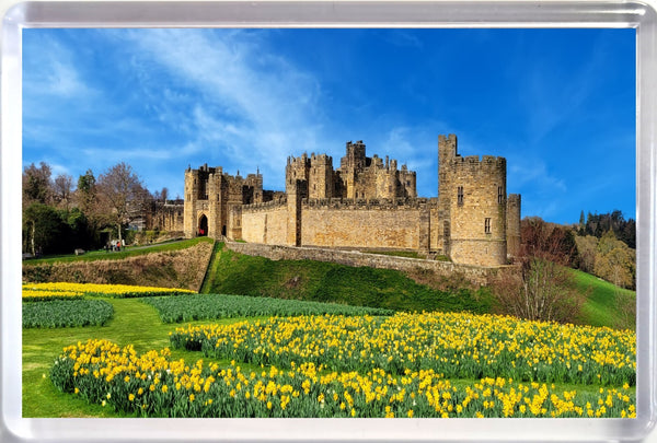 Jumbo Alnwick Castle Fridge Magnet in Spring with Daffodils with Blue Sky