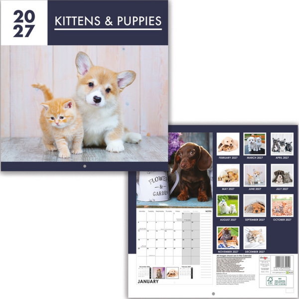 2027 Kittens & Puppies Square Wall Calendar Planner Organiser Animals Cute Cats Dogs
