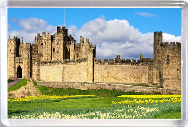 Large Alnwick Castle Fridge Magnet close up in Spring with Daffodils and blue sky