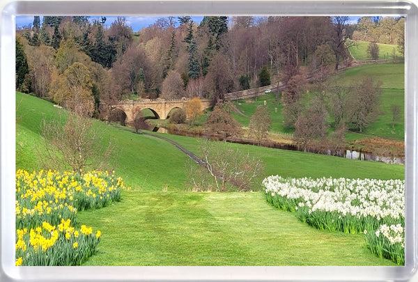 Large Alnwick Castle fridge magnet grounds with bridge and river in Spring with Daffodils