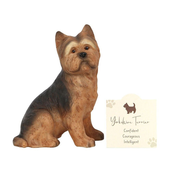 A Yorkshire Terrier resin ornament in a gift presentation box.