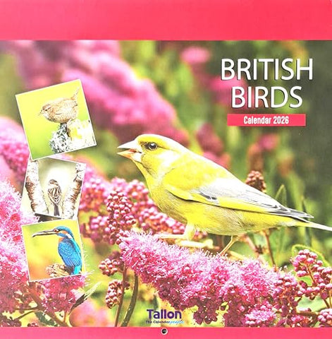 2026 British Birds Square Wall Calendar Cute Wild Garden Wild Owl Sparrow Robin Tit Planner Organiser Home Kitchen Office Christmas Birthday New Year