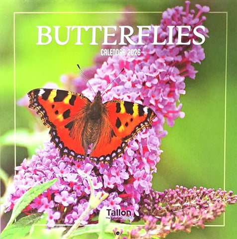 2026 Butterflies Square Wall Calendar Cute Butterfly Insects Flowers Moths Planner Organiser Home Kitchen Office Christmas Birthday New Year