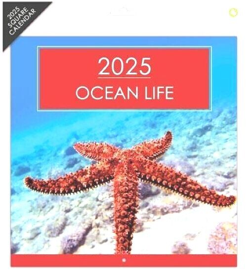 2025 Square Wall Calendars Sports Cars Bikes Castles Cats Dogs Wild Animals Gift