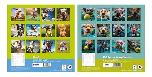 2025 Square Wall Calendar Planner Organiser Home Office Fetch Dogs Puppies Cute