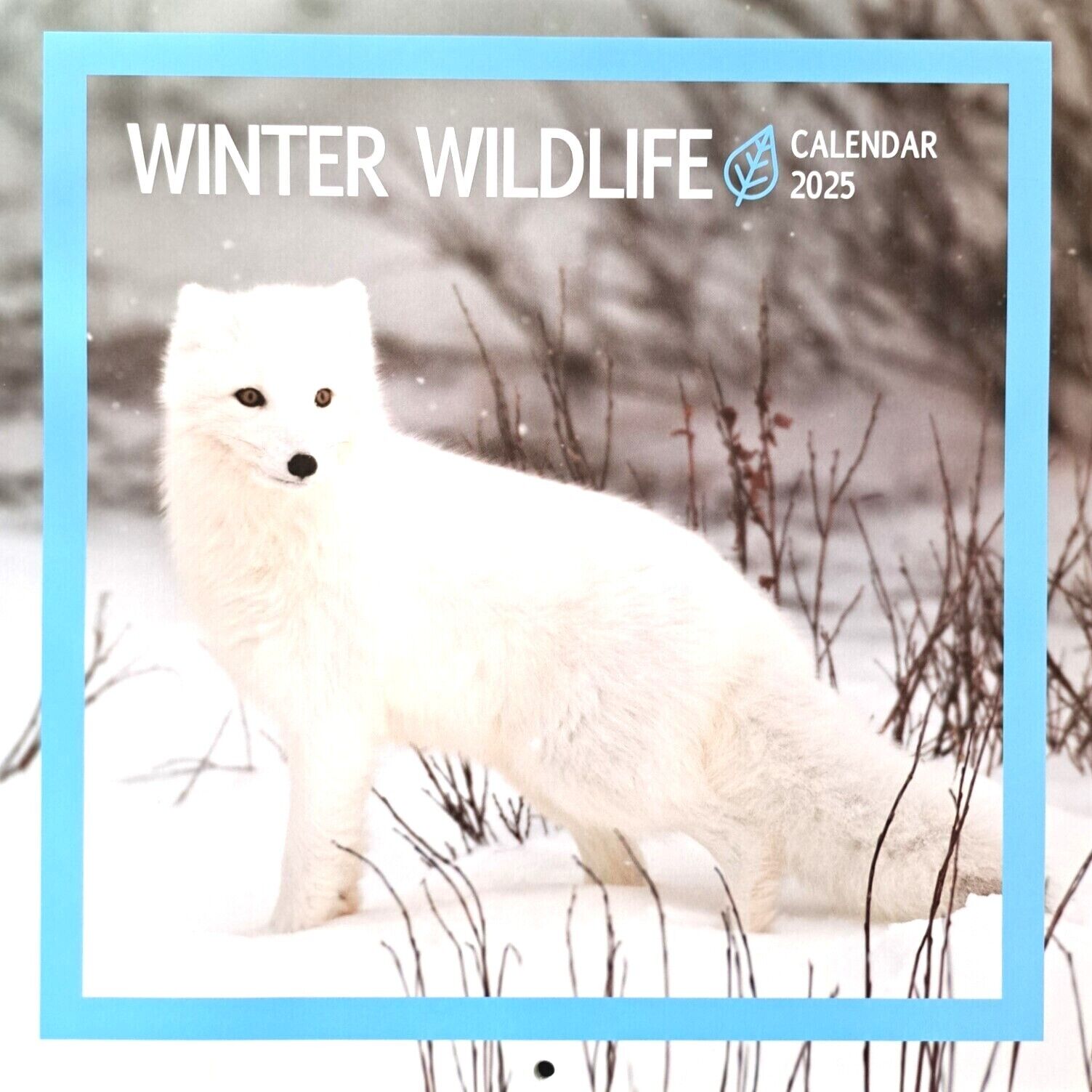 2025 Nature Animals Square Wall Calendars Birds of Prey Ocean Sea Life Wildlife