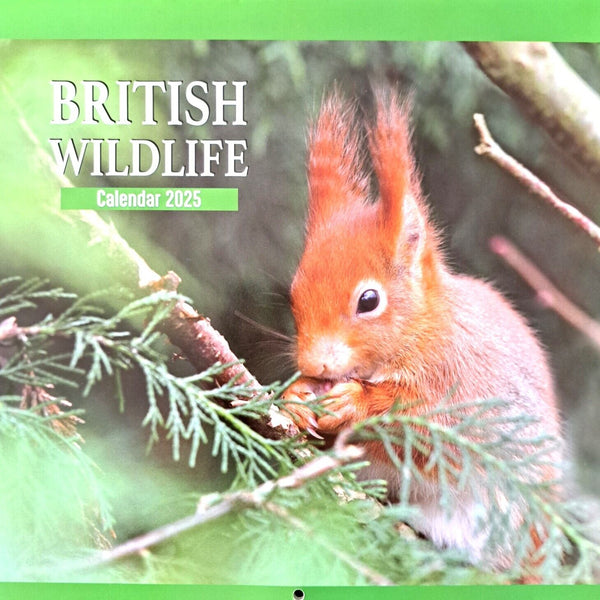 2025 British Birds Animals Square Wall Calendars Wildlife Wild Planner Organiser