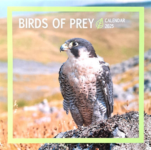 2025 Nature Animals Square Wall Calendars Birds of Prey Ocean Sea Life Wildlife