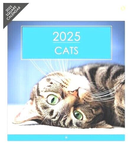 2025 Square Wall Calendars Sports Cars Bikes Castles Cats Dogs Wild Animals Gift