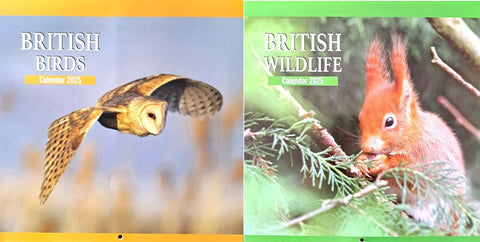 2025 British Birds Animals Square Wall Calendars Wildlife Wild Planner Organiser