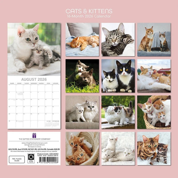 2026 Cats & Kittens Wall Calendar Cute Square Tabby Ginger Black White Planner