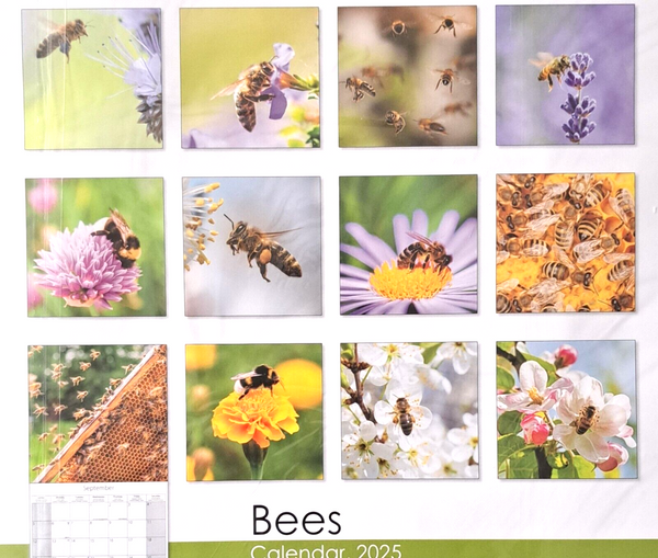 2025 Bees Square Wall Calendar 16 Months Gift Envelope Nature Planner Organiser