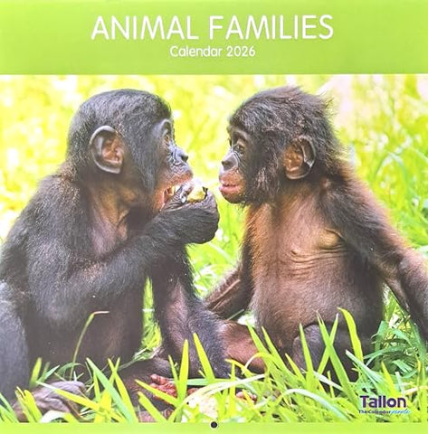 2026 Animal Families Square Wall Calendar Cute Animals Wild Pet Dogs Bears Horses Elephants Planner Organiser Home Kitchen Office Christmas Birthday New Year