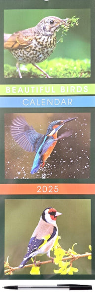 2025 Tall Slim Wall Calendars Pen Gift Envelope Organiser Planner Kitchen Home