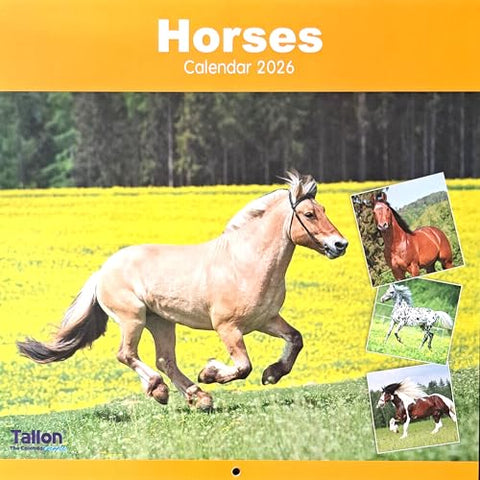 2026 Horses Square Wall Calendar Wild Domestic Pet Equine Stallion Mare Racing Working Planner Organiser Home Kitchen Office Christmas Birthday New Year
