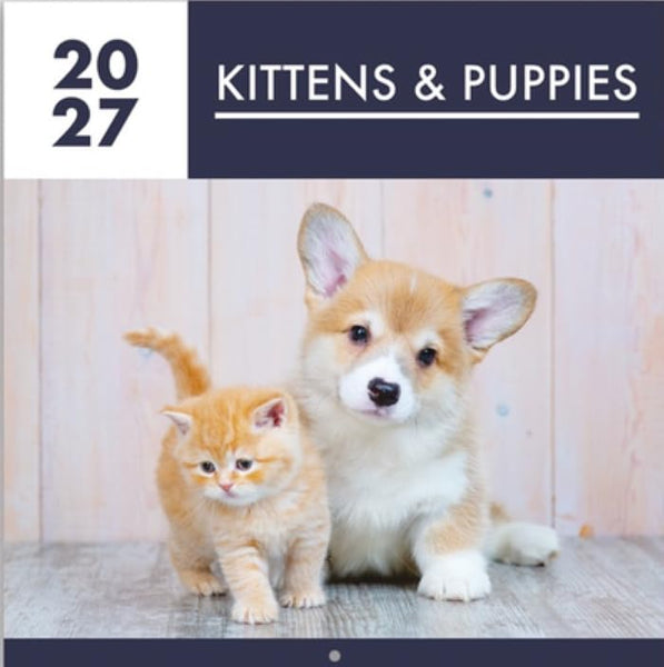 2027 Kittens & Puppies Square Wall Calendar Planner Organiser Animals Cute Cats Dogs